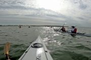 2019_07_Baltrum013