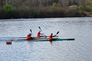 CUP225
