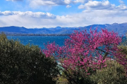 Gardasee36