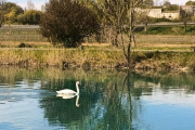 Gardasee51