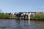IMG-20230624-WA0002