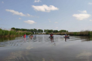 IMG-20230624-WA0006